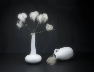 Blanc sur noir.