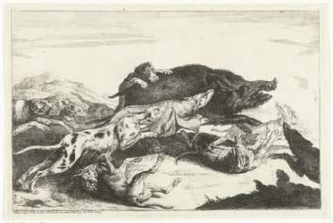 Chiens chassant un sanglier