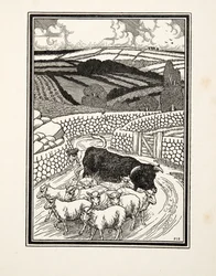 Aller au marché, de Cent anecdotes d