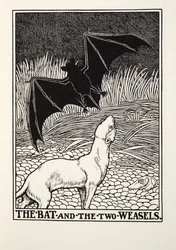 La Chauve-souris et les deux Belettes, des Fables de La Fontaine, pub. 1905