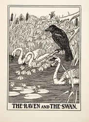 Le corbeau et le cygne, tiré de Cent fables d