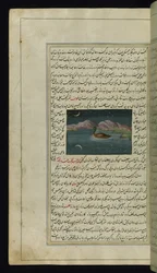 Une oie et le reflet de la lune dans l
