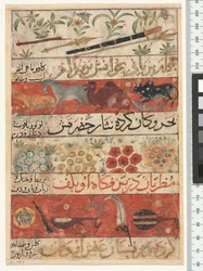 Animaux, pierres précieuses, pièces de monnaie et instruments de musique, période Ilkhanide, 1341