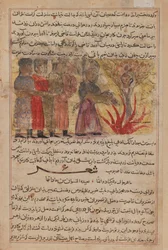 Peinture miniature de Kalila wa Dimna