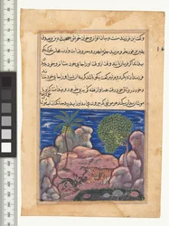 Conte XV, Le chat attaque les souris qui dérangent le lion, illustration du "Tuti-Nama", vers 1560. Inde, Moghol, Règne d