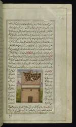Deux pigeons, Bāzandah et Navāzandah des Lumières de Canopus