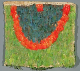 Cape en plumes
