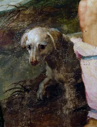 Chien (détail)