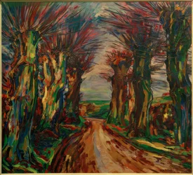 Allée de saules