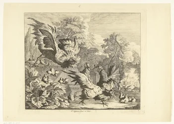 Combat de coqs Divers oiseaux (titre de la série)