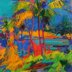 Hawaii Optical