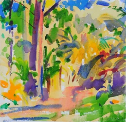 Forêt tropicale de Maui, 2023
