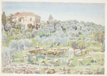 Pente de montagne avec oliviers et une villa