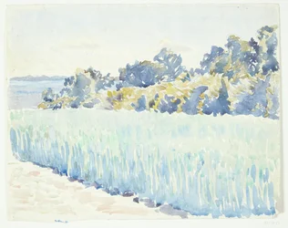Paysage de Fionie. Champ de blé près d
