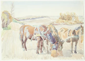 Chevaux dans le champ