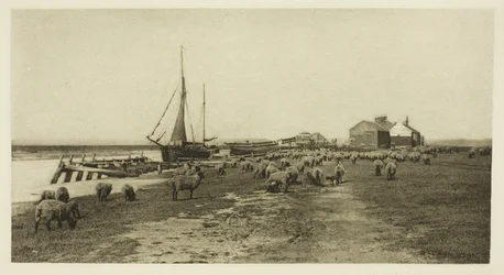 Blackshore, rivière Blythe (Suffolk)