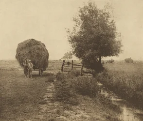 Dans le champ de foin. [Norfolk.]