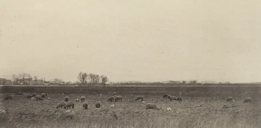 Marais près de la mer du Nord, 1890-1891, imprimé en 1893