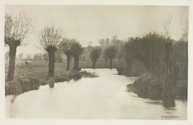 Embouchure de la rivière Ash