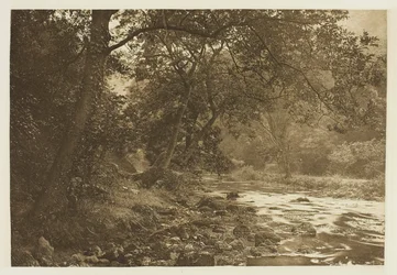 Près de Reynard