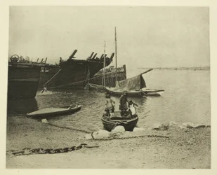 Vieilles carcasses de navires