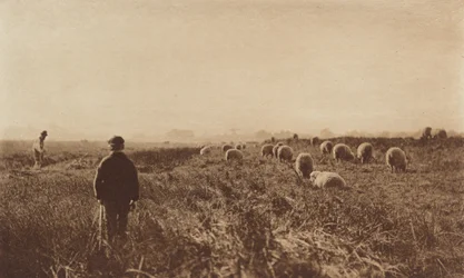 Les marais en juin, 1890-1891, imprimé en 1893