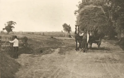 La richesse des marais