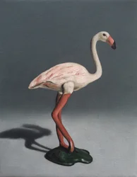 Flamant rose