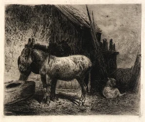 (Ânes et moutons)