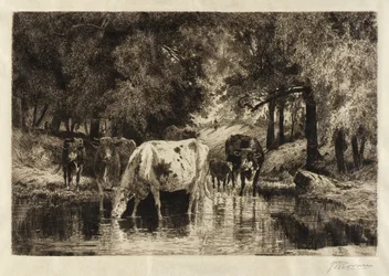 La piscine