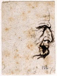Galba, d