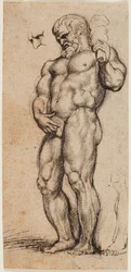 Hercule