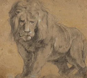 Lion, c.1612-13