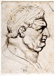 Vitellius, d