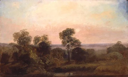 Paysage boisé au crépuscule