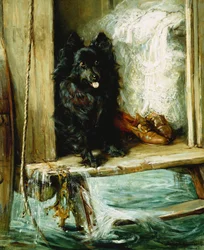 Laissé de garde - un loulou de Poméranie noir sur les marches d