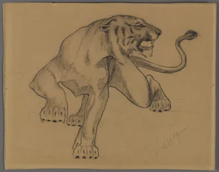 Tigre
