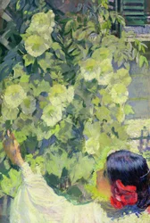Roses trémières, vers 1923 (huile sur toile)