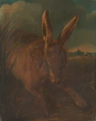 Chasse au lièvre