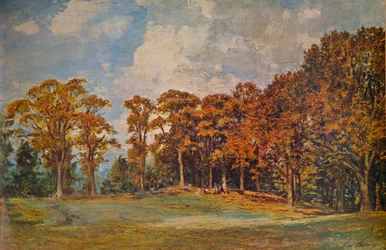Bosquet à Bridgnorth, 1901 1935
