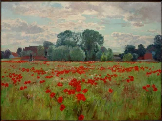 Prairie aux oies