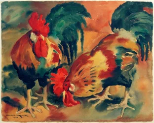 Deux coqs