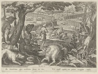 Chasse au sanglier