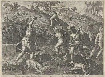 Chasse aux blaireaux