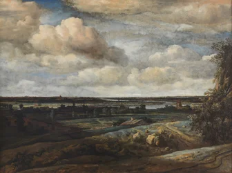 Paysage panoramique néerlandais avec vue lointaine de Haarlem