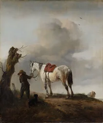 Le cheval gris, vers 1646