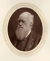 Portrait de Charles Darwin 1809-1882, 1877