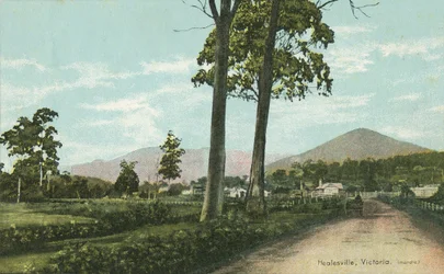 Healesville, Victoria, Australie