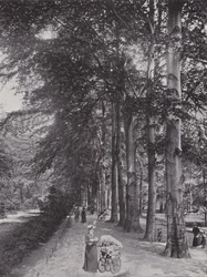 Dans le Tiergarten, Un chemin ombragé