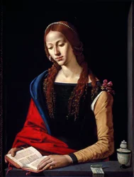 Madeleine